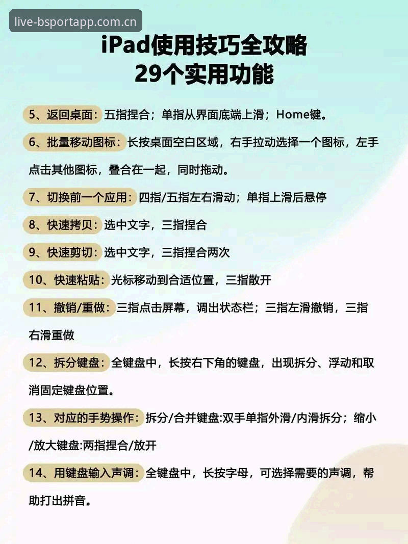 BSport平台BSA最新消息：从下载到使用的完整操作指南